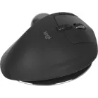 Трекбол Logitech Trackball MX Ergo S графитовый оптическая 2048dpi silent беспров. BT/Radio USB 8but (910-007261)
