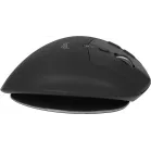 Трекбол Logitech Trackball MX Ergo S графитовый оптическая 2048dpi silent беспров. BT/Radio USB 8but (910-007261)