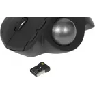 Трекбол Logitech Trackball MX Ergo S графитовый оптическая 2048dpi silent беспров. BT/Radio USB 8but (910-007261)