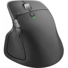 Мышь Logitech MX Master 4 графитовый оптическая 8000dpi беспров. BT/Radio USB для ноутбука 8but (910-007565)