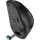 Мышь A4Tech Fstyler FG35CS Plus серый оптическая 3200dpi silent беспров. USB 6but