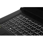 Ноутбук Thunderobot Range 17 G2 Evo Core i5 13420H 16Gb SSD1Tb NVIDIA GeForce RTX5050 8Gb 17.3" IPS FHD (1920x1200) FreeDOS black WiFi BT Cam (JT009E00KRU)