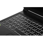Ноутбук Thunderobot Range 16 Evo Core i5 13420H 16Gb SSD1Tb NVIDIA GeForce RTX5050 8Gb 16" IPS QHD (2560x1600) FreeDOS black WiFi BT Cam (JT009P00KRU)