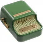 Термопринтер Niimbot B21 Pro 300dpi 60мм/с/USB/BT для печ.этик. салатовый