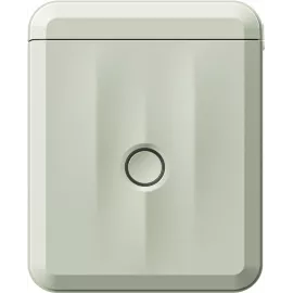 Термопринтер Niimbot D110 M (1746804) 203dpi 40мм/с/USB/BT для печ.этик. зеленый