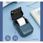 Термопринтер Niimbot B1 Pro (1747727) 300dpi 40мм/с/USB/BT для печ.этик. голубой