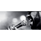 Микрофон проводной SHURE SM58-LCE черный/серебристый