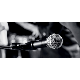 Микрофон проводной SHURE SM58-LCE черный/серебристый