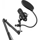 Микрофон проводной Оклик SM-700G 2.5м черный