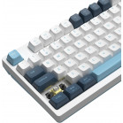 Клавиатура A4Tech Fstyler FS300 механическая белый/синий USB for gamer LED (FS300 PANDA SNOWBOARDING)