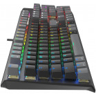 Клавиатура A4Tech Fstyler FS100 Neon механическая черный USB for gamer LED (FS100)