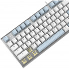 Клавиатура A4Tech Fstyler FS100 Neon механическая синий/белый USB for gamer LED (FS100)