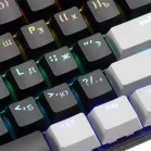 Клавиатура Оклик K600X механическая черный/серый USB Multimedia for gamer LED