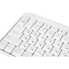 Клавиатура Logitech K251 белый беспроводная BT slim (920-013364)