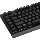 Клавиатура Razer BlackWidow V4 Green Switch механическая черный USB Multimedia for gamer LED (RZ03-04700800-R3R1) кабель 2м
