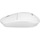 Клавиатура + мышь Acer OCC401 клав:белый мышь:белый USB беспроводная Multimedia (ZL.ACCCC.017)