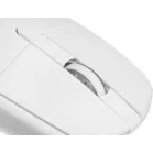 Клавиатура + мышь Acer OCC401 клав:белый мышь:белый USB беспроводная Multimedia (ZL.ACCCC.017)