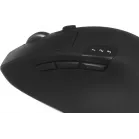 Клавиатура + мышь Logitech MK850 клав:черный мышь:черный USB беспроводная BT slim Multimedia (920-008232)
