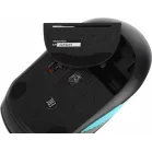 Мышь A4Tech Fstyler FG10 черный/синий оптическая 2000dpi беспров. USB 4but (FG10 BLUE)
