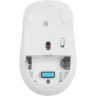 Мышь A4Tech Fstyler FG10 белый/серый оптическая 2000dpi беспров. USB 3but (FG10 WHITE)