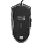 Мышь Оклик 701G черный оптическая 3600dpi USB для ноутбука 6but (1884623)