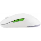 Мышь Acer OMR311 белый оптическая 2400dpi беспров. BT/Radio USB 7but (ZL.MCECC.034)