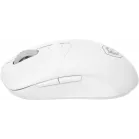 Мышь MSI VERSA 300 W MS-8ZBD белый оптическая 8000dpi беспров. BT/Radio USB 5but (S12-4301440-CLA)