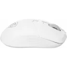 Мышь MSI VERSA 300 W MS-8ZBD белый оптическая 8000dpi беспров. BT/Radio USB 5but (S12-4301440-CLA)