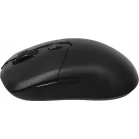 Мышь MSI VERSA 300 W MS-8ZBD черный оптическая 8000dpi беспров. BT/Radio USB 5but (S12-4301260-CLA)
