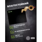 Коврик для мыши Cactus Black Mesh черный 300x250x3мм (CS-MPC-D02M)