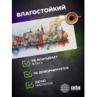 Коврик для мыши Cactus Amsterdam рисунок 900x400x3мм (CS-MP-PRO12XXL)