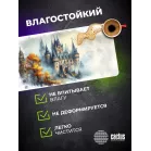 Коврик для мыши Cactus Castle 900x400x3мм (CS-MP-PRO13XXL)