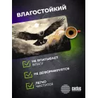 Коврик для мыши Cactus Flying hawk 700x400x4мм (CS-MP-COR02XLL)