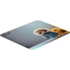 Коврик для мыши Cactus Owl gray рисунок 300x250x3мм (CS-MPC-D12M)