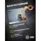 Коврик для мыши Cactus Owl gray рисунок 300x250x3мм (CS-MPC-D12M)