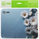 Коврик для мыши Cactus Daisies рисунок 250x200x3мм (CS-MPC-D07S)
