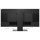 Монитор Lenovo 23.8" ThinkVision E24q-20 черный IPS 4ms 16:9 HDMI M/M матовая HAS Piv 1000:1 300cd 178гр/178гр 2560x1440 75Hz DP 2K 5.05кг