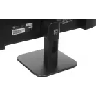 Монитор Philips 23.8" E Line 24E1N1100A черный IPS LED 16:9 HDMI M/M матовая 1500:1 300cd 178гр/178гр 1920x1080 120Hz VGA FHD 2.51кг