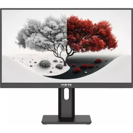 Монитор RDW Computers 23.8" RDW2401K черный IPS 4ms 16:9 HDMI M/M матовая HAS Piv 1000:1 300cd 178гр/178гр 1920x1080 100Hz VGA DP FHD 1.7кг (RUS)
