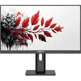 Монитор RDW Computers 27" RDW2701K черный IPS 1ms HDMI M/M матовая HAS Piv 350cd 178гр/178гр 2560x1440 100Hz DP QHD (RUS)
