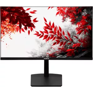  RDW Computers 315quot RDW3207 IPS 1ms 169 HDMI MM HAS Piv 10001 350cd 178178 2560x1440 100Hz GSync FreeSync VGA DP QHD USB RUS