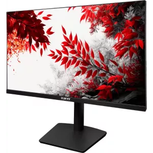  RDW Computers 315quot RDW3207 IPS 1ms 169 HDMI MM HAS Piv 10001 350cd 178178 2560x1440 100Hz GSync FreeSync VGA DP QHD USB RUS