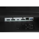 Монитор Philips 23.8" 24B2U4301 черный IPS LED 16:9 HDMI M/M матовая HAS Piv 300cd 178гр/178гр 1920x1080 120Hz DP FHD USB 5.74кг