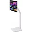 Монитор LG 31.5" UltraFine 32U889SA-W белый IPS LED 16:9 HDMI M/M глянцевая HAS Piv 1000:1 350cd 178гр/178гр 3840x2160 60Hz 4K USB Touch 21.2кг