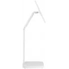 Монитор LG 31.5" UltraFine 32U889SA-W белый IPS LED 16:9 HDMI M/M глянцевая HAS Piv 1000:1 350cd 178гр/178гр 3840x2160 60Hz 4K USB Touch 21.2кг