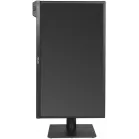 Монитор Asus 23.6" ProArt PA24US черный IPS LED 16:9 HDMI M/M матовая HAS Piv 600cd 178гр/178гр 3840x2160 60Hz DP Quad 4K (2160p) USB 6кг