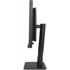 Монитор Asus 23.6" ProArt PA24US черный IPS LED 16:9 HDMI M/M матовая HAS Piv 600cd 178гр/178гр 3840x2160 60Hz DP Quad 4K (2160p) USB 6кг