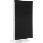 Монитор MSI 27" Mag 274QRFW E20 белый IPS LED 16:9 HDMI матовая HAS Piv 300cd 178гр/178гр 2560x1440 200Hz DP Quad 2K (1440p) 6.9кг