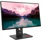 Монитор Lenovo 23.8" ThinkVision T24-40 черный IPS LED 16:9 HDMI матовая HAS Piv 1500:1 250cd 178гр/178гр 1920x1080 120Hz VGA DP FHD USB 5.1кг
