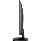Монитор NPC 23.8" MF2432 черный IPS LED 3ms 16:9 HDMI M/M 1500:1 300cd 178гр/178гр 1920x1080 144Hz FreeSync VGA DP FHD 3.12кг